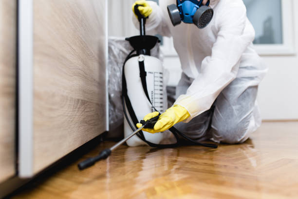Best Bed Bug Extermination  in Teviston, CA