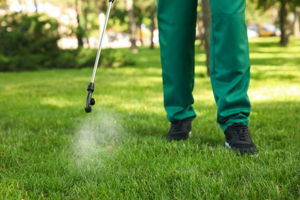 Reliable Teviston, CA Pest Control Solutions