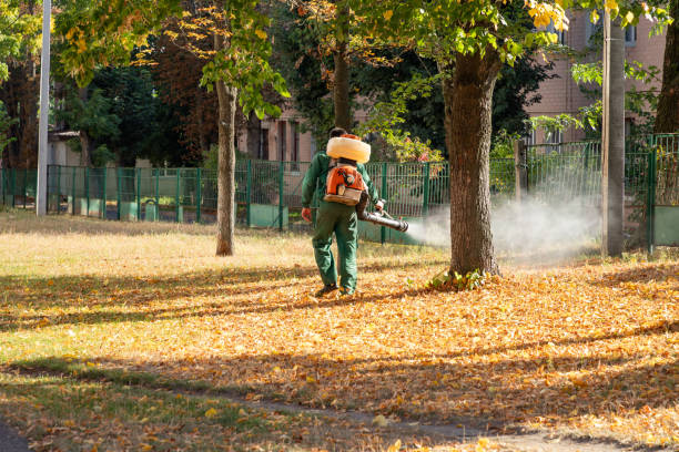 Best Best Pest Control Companies  in Teviston, CA