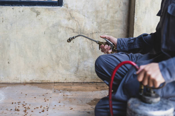 Best Pest Control Treatment  in Teviston, CA
